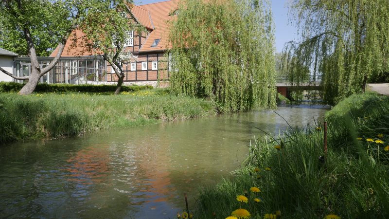 Fachwerkgebäude an einem Fluss mit Weiden